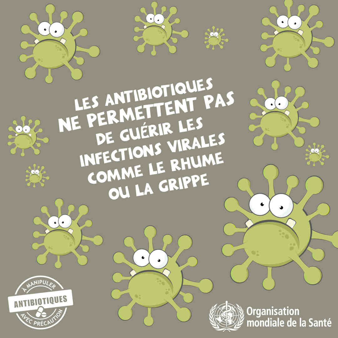 Que sont les infections virales?